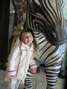 zebraIMG_4881