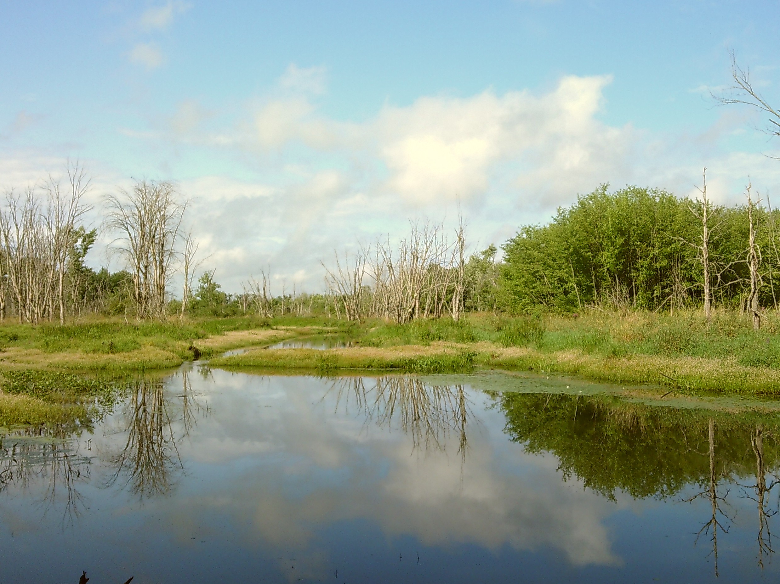 Nashua RIver – Beauty and Dump